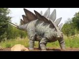 Dinosaur didn't die 65 millions years ago, they are still alive today - Documentary FULL