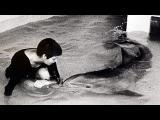 The Girl Who Talked to Dolphins BBC Full documentary 2014