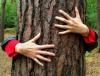 Tree Hugger's picture