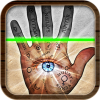 Palm Reader's picture