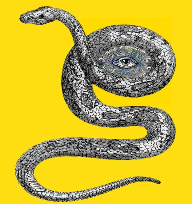 Signs From The Serpent: Honing Your Intuition