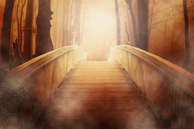 A Shamanic Approach to Life