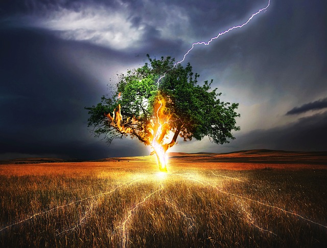 Transformed by Lightning